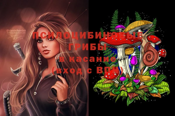дживик Навашино