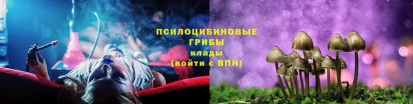 соль ск Надым