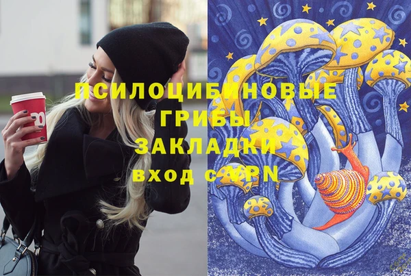 мет Нея