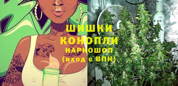 соль ск Надым