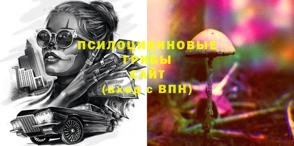 дживик Навашино