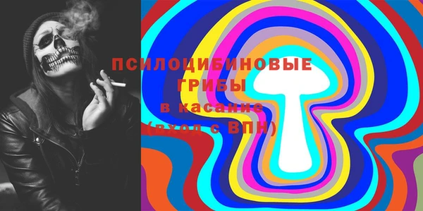 соль ск Надым