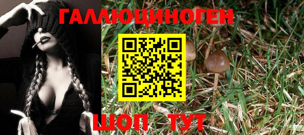 КОКАИН  Alpha PVP  Мефедрон  Ляпка  Кислота  МДМА  Отрадное  МАРИХУАНА  Вход с VPN 