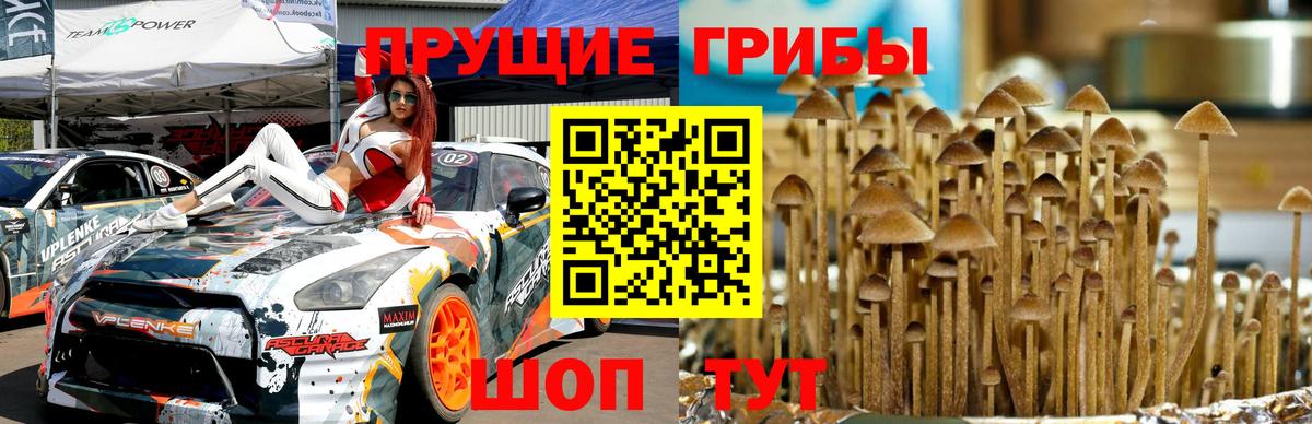 Галлюциногенные грибы Cubensis  Галлюциногенные грибы Magic Shrooms  Отрадное 