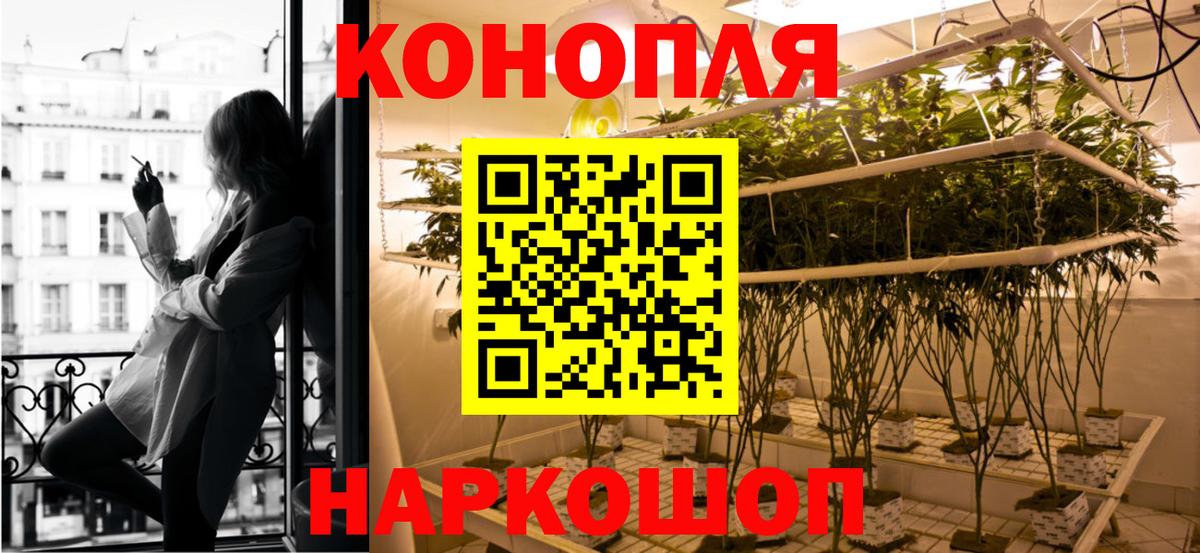 Каннабис конопля  Вход с VPN  Отрадное  Шишки марихуана ГИДРОПОН  Конопля White Widow 